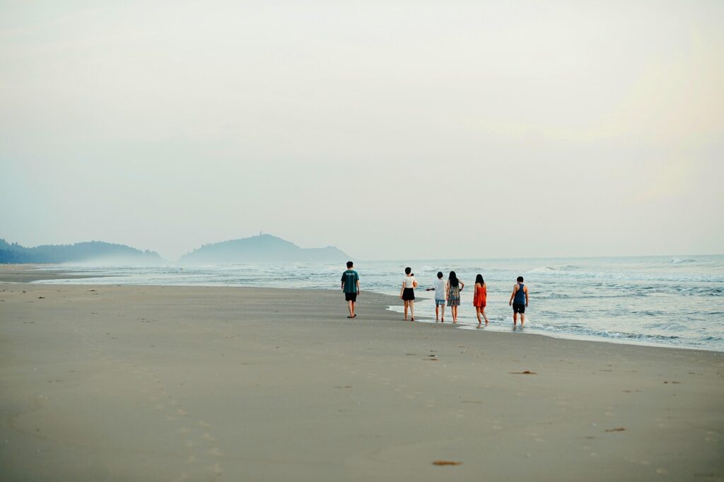 young, sea, nature, friend, outdoors, beach, friends, people